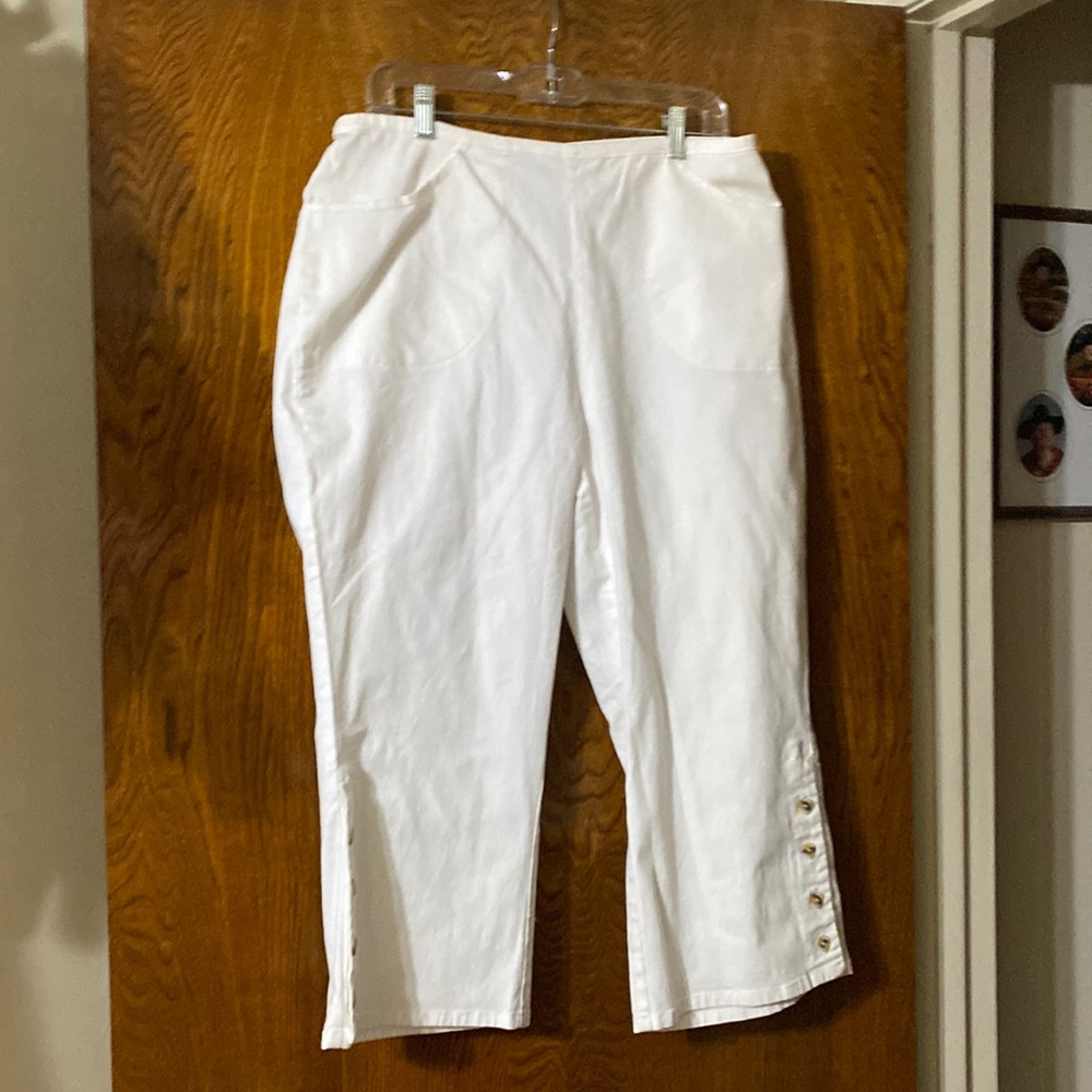 d&co / jeans / size 1X
